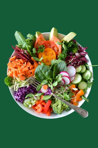 vegetarian salad