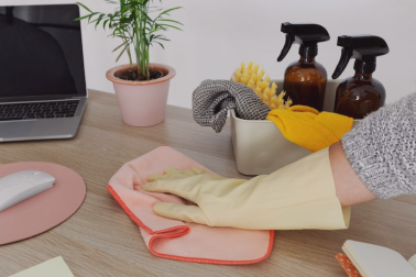 Monthly home cleaning